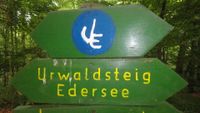 Urwaldsteig_1
